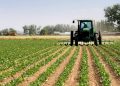 Nigeria’s Agricultural sector: Problems and challenges