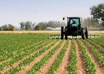 Nigeria’s Agricultural sector: Problems and challenges