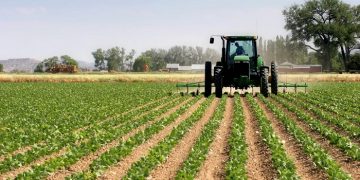 Nigeria’s Agricultural sector: Problems and challenges
