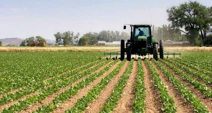 Nigeria’s Agricultural sector: Problems and challenges