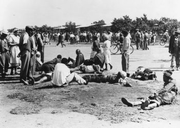 Survey shows ignorance about big moments in South Africa’s history