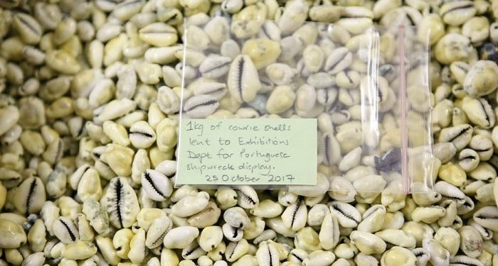 Small seashells: A big story of slavery and transoceanic trade