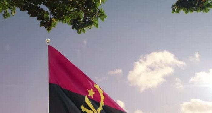 Angolans in diaspora to vote in the coming general elections