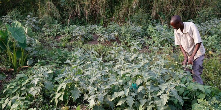 Collective action around common resources could help vulnerable communities