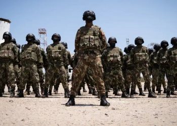 Mozambique army says Tanzanian terrorist leader captured in Cabo Delgado