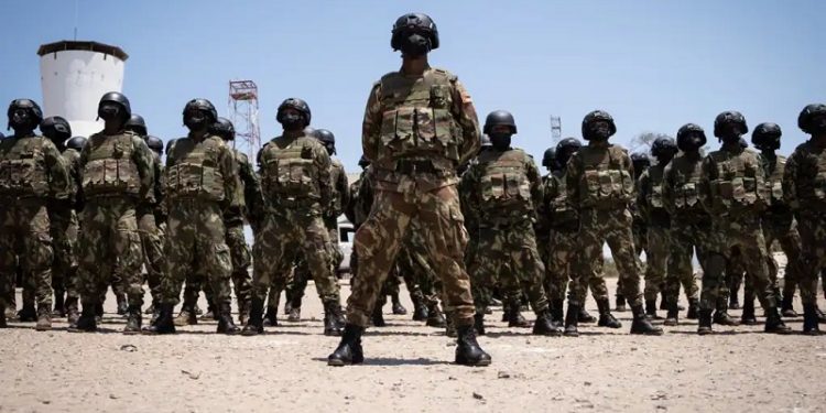 Mozambique army says Tanzanian terrorist leader captured in Cabo Delgado