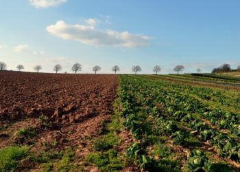 Evidence from 16 African countries that agriculture is linked with malaria in complex ways