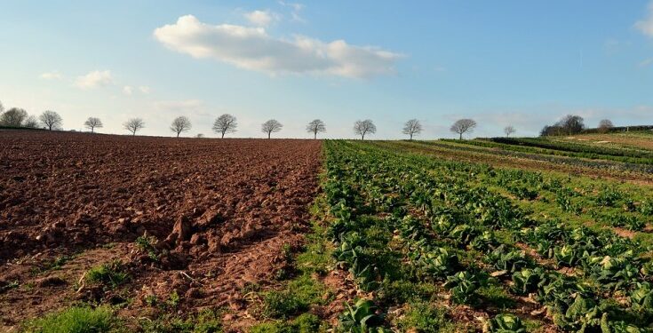 Evidence from 16 African countries that agriculture is linked with malaria in complex ways