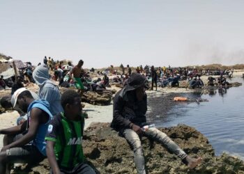 Rights group urges Tunisia to halt collective expulsions of African migrants