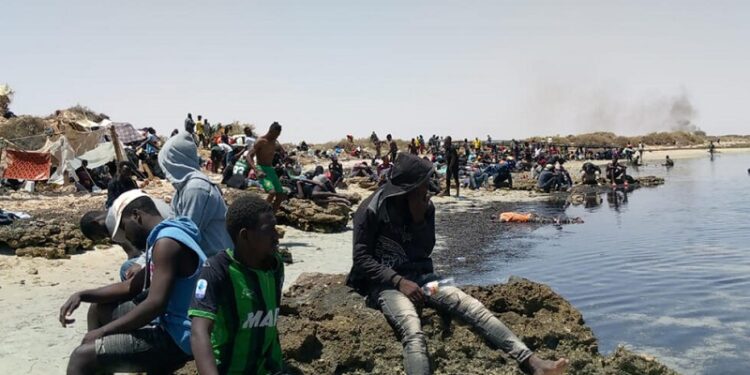 Rights group urges Tunisia to halt collective expulsions of African migrants