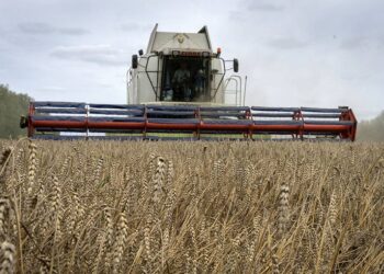 Russia offers reassurance over threatened African grain supplies