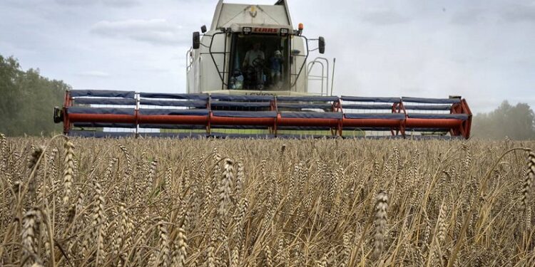 Russia offers reassurance over threatened African grain supplies