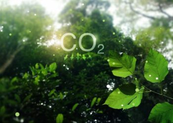 Gabon launches tender for Africa’s first debt-for-nature swap