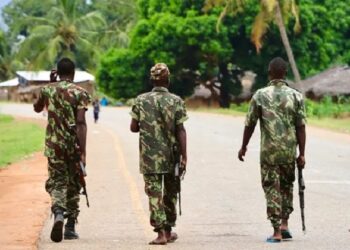 Mozambique: Army kills two senior rebel leaders in Cabo Delgado