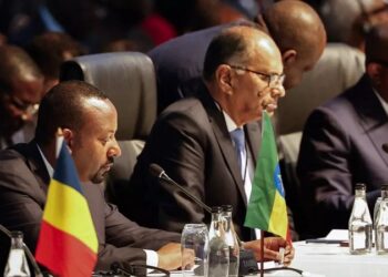 Ethiopian Prime Minister hails BRICS membership