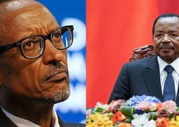 Rwanda, Cameroon make major changes in their military positions after Gabon coup