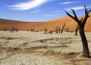 Large investments expected at first Africa climate summit