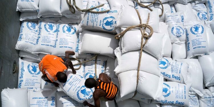 EU temporarily holds back food aid in Somalia after UN finds widespread theft