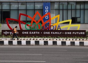 G20 set to grant membership to African Union, sources say