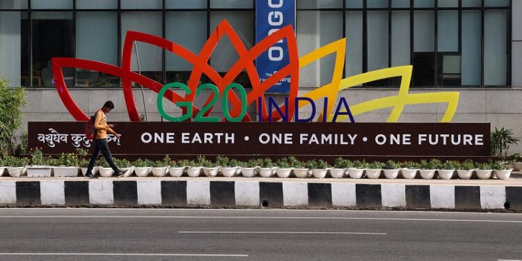 G20 set to grant membership to African Union, sources say