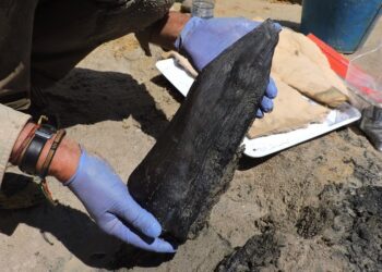 A structure dating back almost half a million years discovered in Zambia