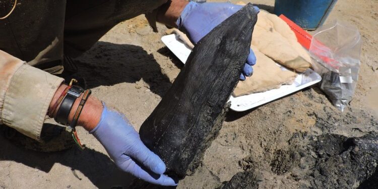 A structure dating back almost half a million years discovered in Zambia