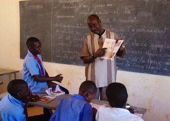 Your teachers’ level of knowledge affects how well you perform in class: perspectives from 14 French-speaking African nations