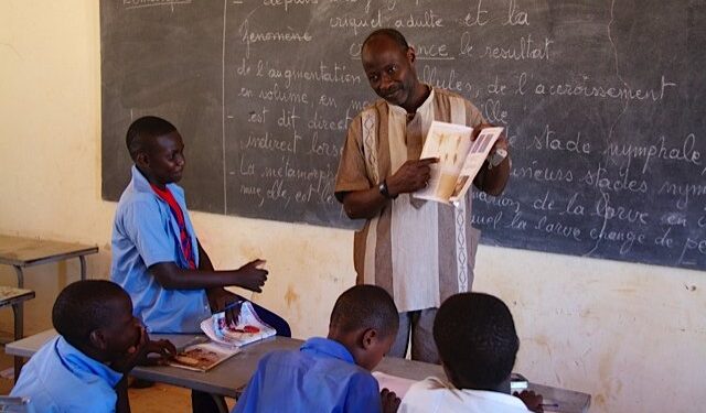 Your teachers’ level of knowledge affects how well you perform in class: perspectives from 14 French-speaking African nations