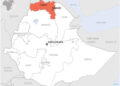 Ethiopia: 15 arrests in Tigray before a local opposition demonstration