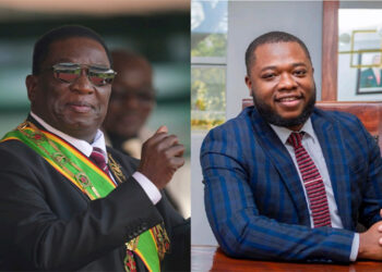 Zimbabwe president appoints son, nephew as deputy ministers