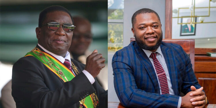 Zimbabwe president appoints son, nephew as deputy ministers