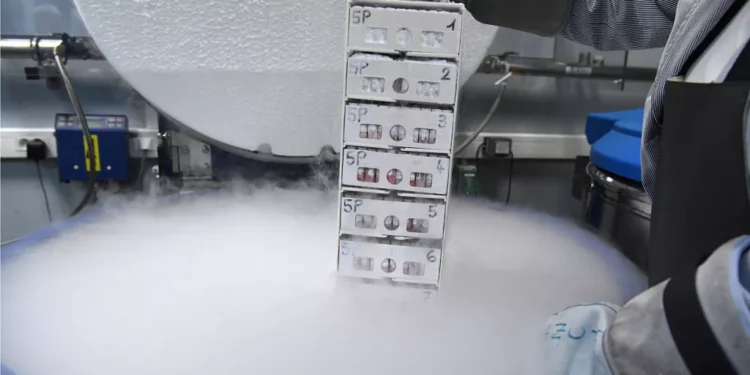 New effort to create the largest database on the African genome