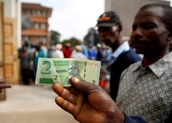 Zimbabwe extends multi-currency system to 2030