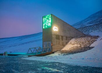 Ghana deposits seeds in Arctic Circle ‘doomsday vault’