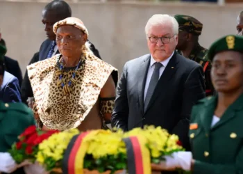 German president apologizes for colonial-era crimes in Tanzania
