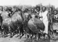 300,000 Tanzanians were killed by Germany during the Maji-Maji uprising: why it was genocide and should be called that