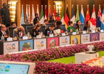 G20-led summit for Africa highlights renewed interest in fast-growing continent