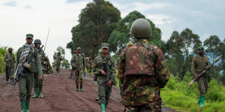 What is South Africa up against in leading a new military force in the DRC?