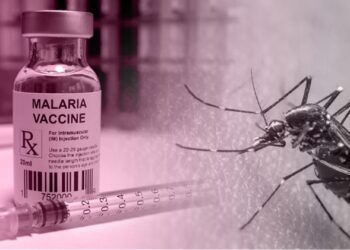 Benin receives more than 200,000 doses of malaria vaccine