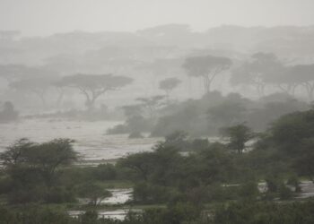 Official says Collapse of goldmine in Tanzania kills 22