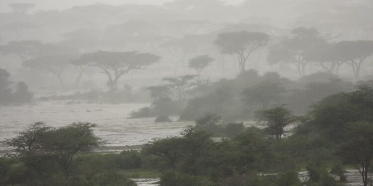 Official says Collapse of goldmine in Tanzania kills 22