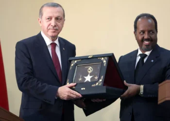 Somalia announces deal with Turkey that includes support for the Horn of Africa nation’s sea assets