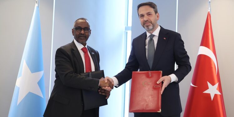 Turkey signs energy cooperation deal with Somalia