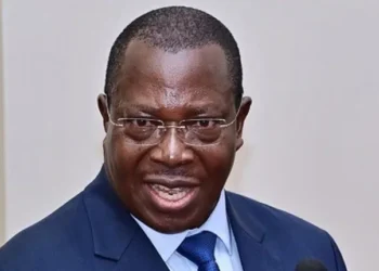 Tanzanian VP threatens to resign over water shortage