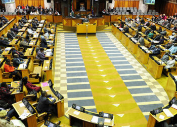 South Africa’s Speaker of Parliament says corruption probe politically motivated