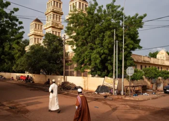 Niger steps up to help Mali’s electricity woes