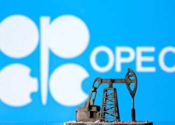 OPEC woos Namibia as African nation prepares to produce from 2030