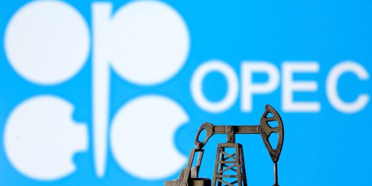OPEC woos Namibia as African nation prepares to produce from 2030