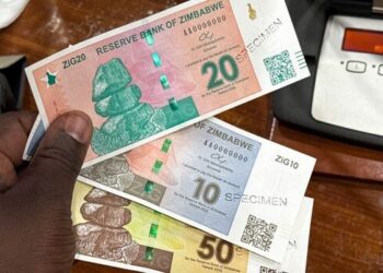 Zimbabweans forced to use US dollar in absence of new currency ZiG