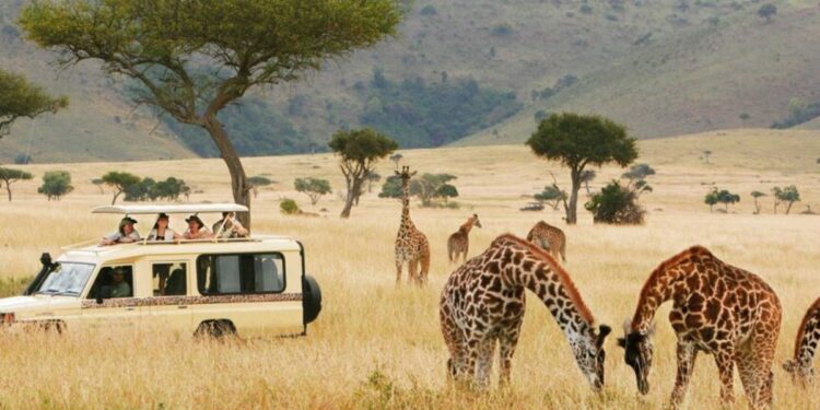 World Bank suspends funding for Tanzania tourism project